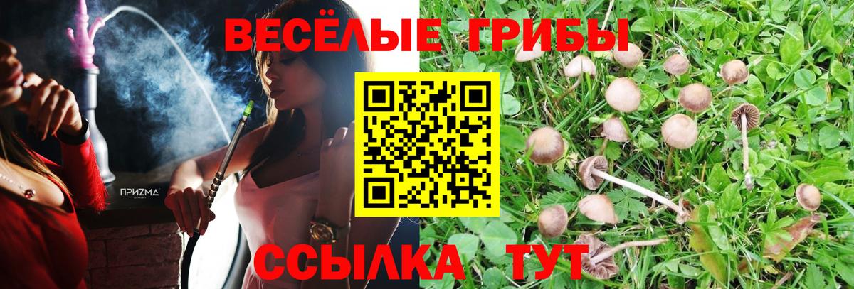 Галлюциногенные грибы Cubensis Нижний Тагил