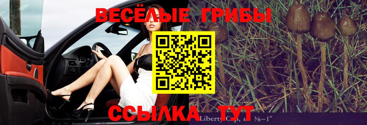 Нижний Тагил  Галлюциногенные грибы прущие грибы  Галлюциногенные грибы мухоморы  Вход с VPN 